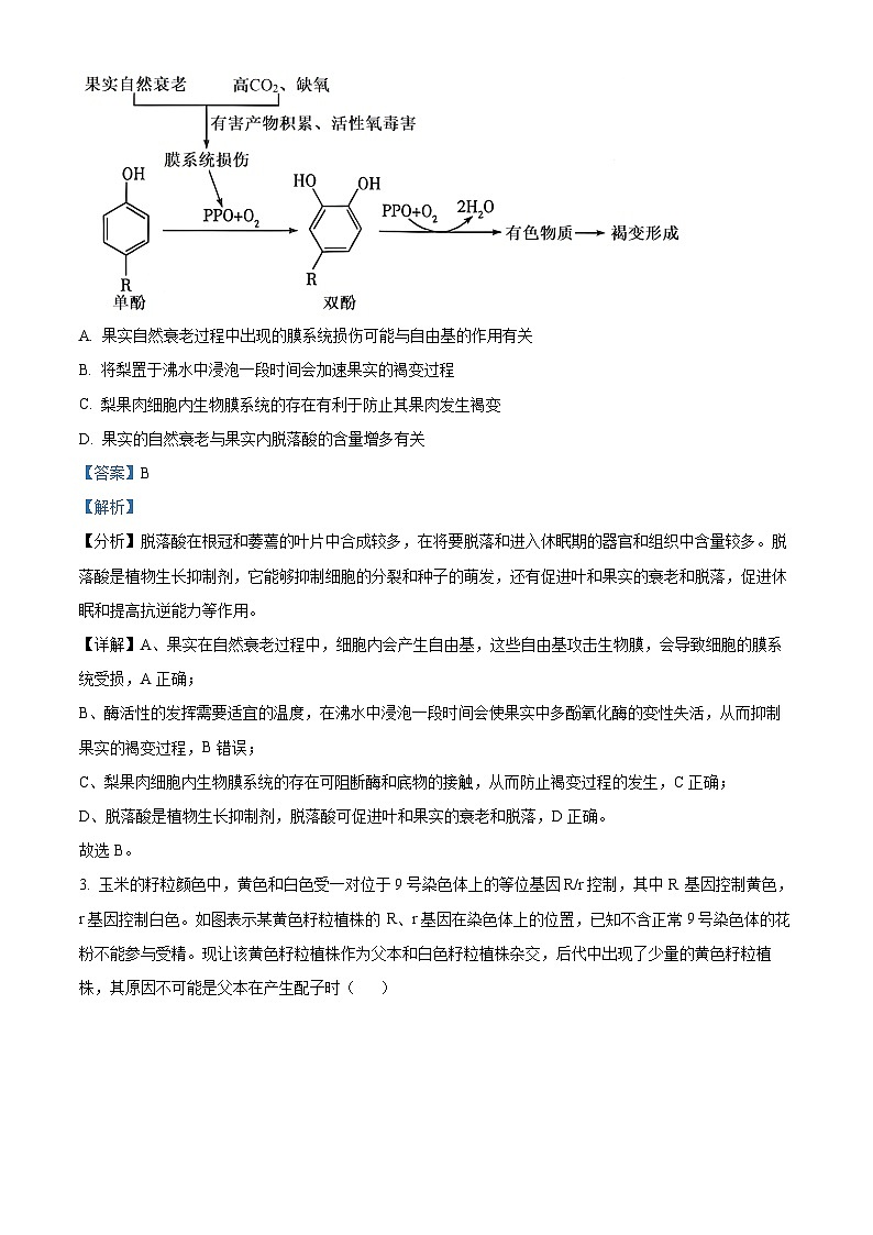 安徽省皖东十校联盟2023-2024学年高三上学期第三次月考生物试题（Word版附解析）02