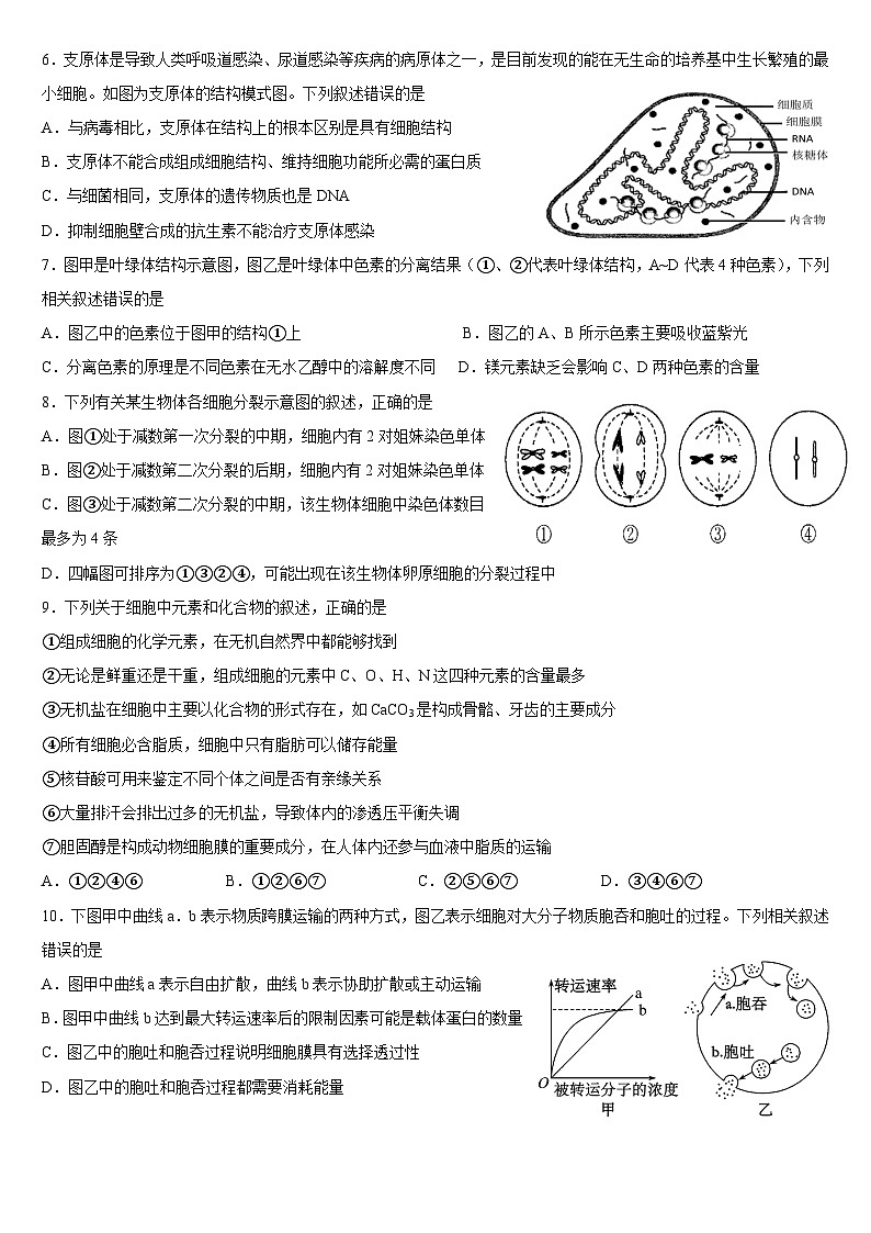 福建省福州市四校教学联盟2023-2024学年高一上学期期末学业联考生物试题（Word版附解析）02