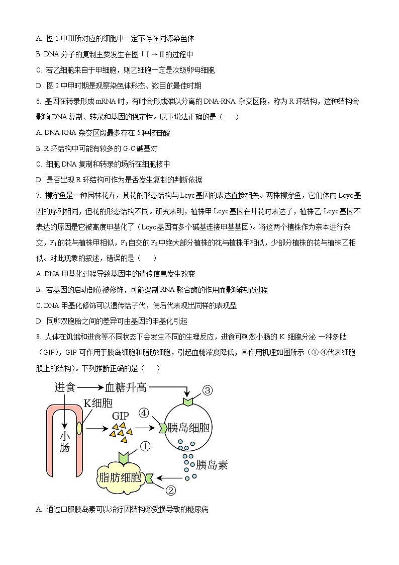 河北省保定市部分高中2023-2024学年高三上学期1月期末生物试题（Word版附解析）03