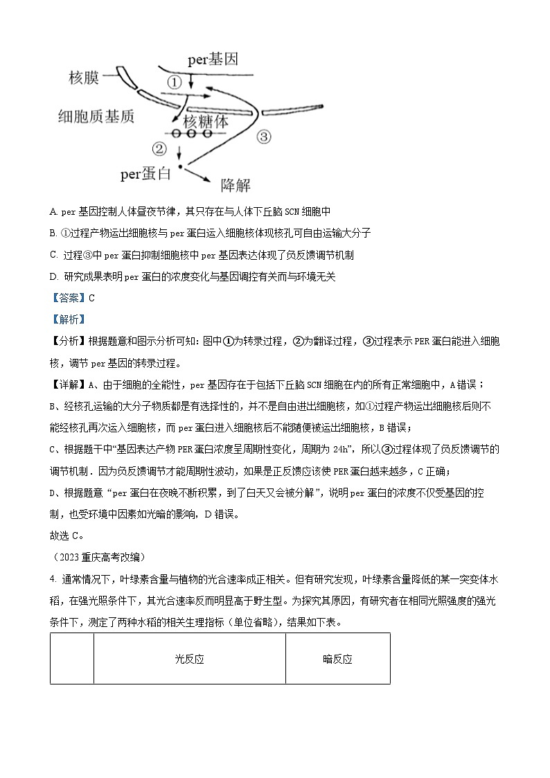 重庆市黔江中学2023-2024学年高二上学期11月月考生物试题（Word版附解析）03