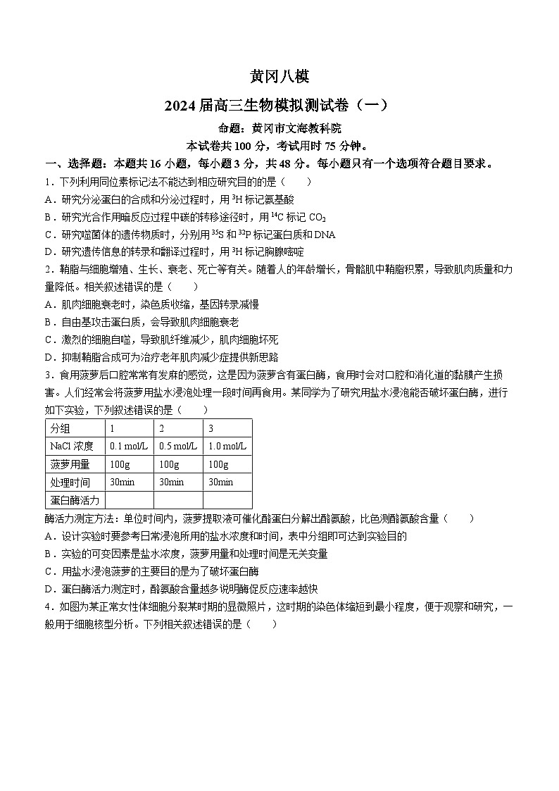 2024黄冈高三模拟测试卷（一）（黄冈八模）生物试题含解析第1页