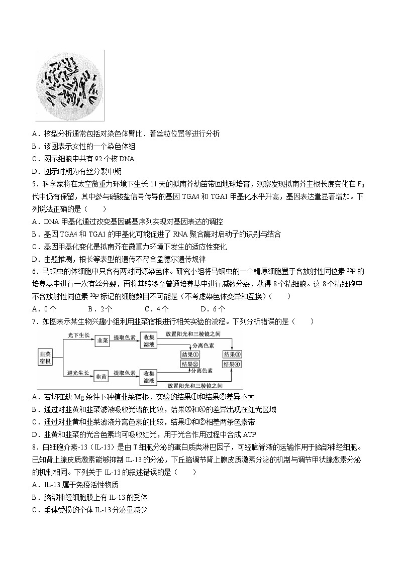2024黄冈高三模拟测试卷（一）（黄冈八模）生物试题含解析第2页