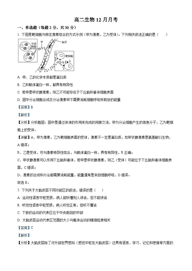 四川省自贡市一中2023-2024学年高二上学期12月月考生物试题（Word版附解析）01