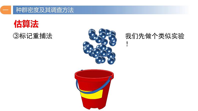 1.1 种群的数量特征（第二课时）-高二生物同步精品课件（人教版选择性必修第二册）04