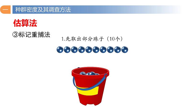 1.1 种群的数量特征（第二课时）-高二生物同步精品课件（人教版选择性必修第二册）06