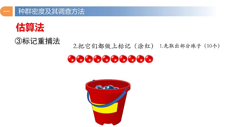 1.1 种群的数量特征（第二课时）-高二生物同步精品课件（人教版选择性必修第二册）07