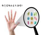 1.2 种群数量的变化（第一课时）-高二生物同步精品课件（人教版选择性必修第二册）