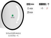 1.2 种群数量的变化（第一课时）-2023-2024学年高二生物同步精品课件（人教版选择性必修第二册）