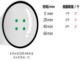 1.2 种群数量的变化（第一课时）-高二生物同步精品课件（人教版选择性必修第二册）