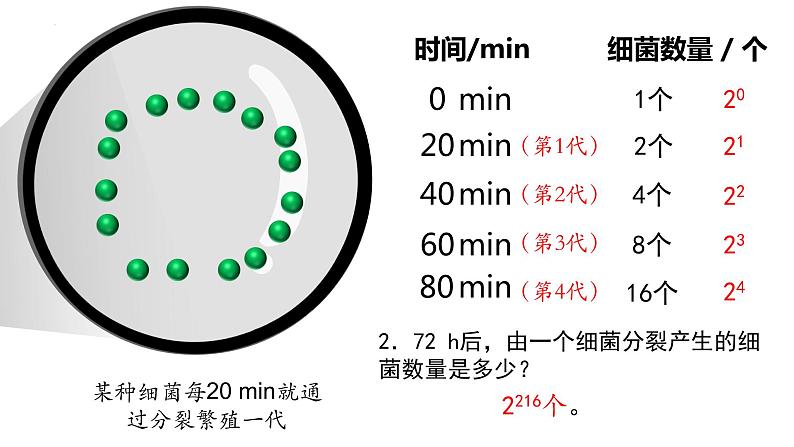 1.2 种群数量的变化（第一课时）-高二生物同步精品课件（人教版选择性必修第二册）08