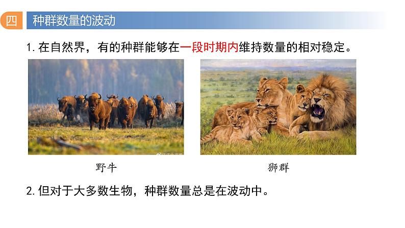 1.2 种群数量的变化（第二课时）-2023-2024学年高二生物同步精品课件（人教版选择性必修第二册）第4页