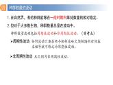 1.2 种群数量的变化（第二课时）-高二生物同步精品课件（人教版选择性必修第二册）