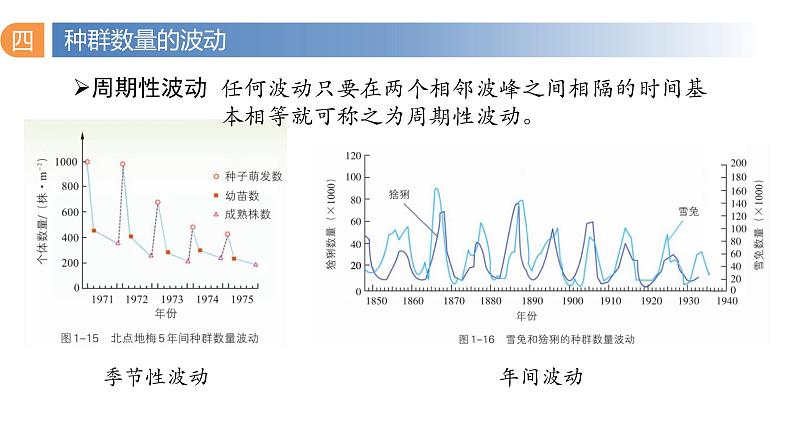 1.2 种群数量的变化（第二课时）-2023-2024学年高二生物同步精品课件（人教版选择性必修第二册）第6页