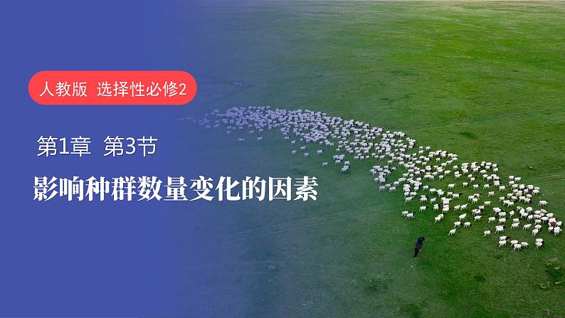 1.3 影响种群数量变化的因素-2023-2024学年高二生物同步精品课件（人教版选择性必修第二册）第1页