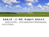 1.3 影响种群数量变化的因素-高二生物同步精品课件（人教版选择性必修第二册）