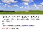 1.3 影响种群数量变化的因素-高二生物同步精品课件（人教版选择性必修第二册）