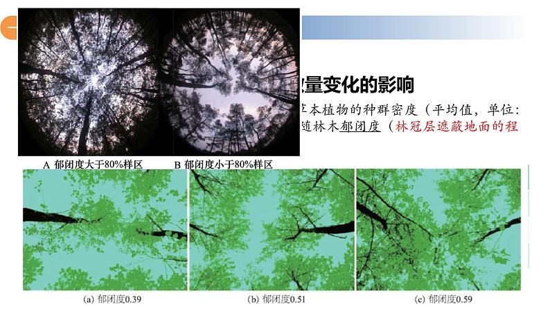 1.3 影响种群数量变化的因素-2023-2024学年高二生物同步精品课件（人教版选择性必修第二册）第8页