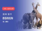 2.1 群落的结构（第二课时）-高二生物同步精品课件（人教版选择性必修第二册）