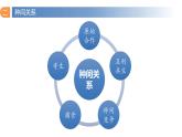 2.1 群落的结构（第二课时）-高二生物同步精品课件（人教版选择性必修第二册）