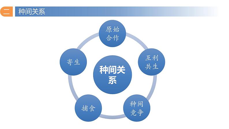 2.1 群落的结构（第二课时）-2023-2024学年高二生物同步精品课件（人教版选择性必修第二册）第2页