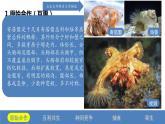 2.1 群落的结构（第二课时）-高二生物同步精品课件（人教版选择性必修第二册）
