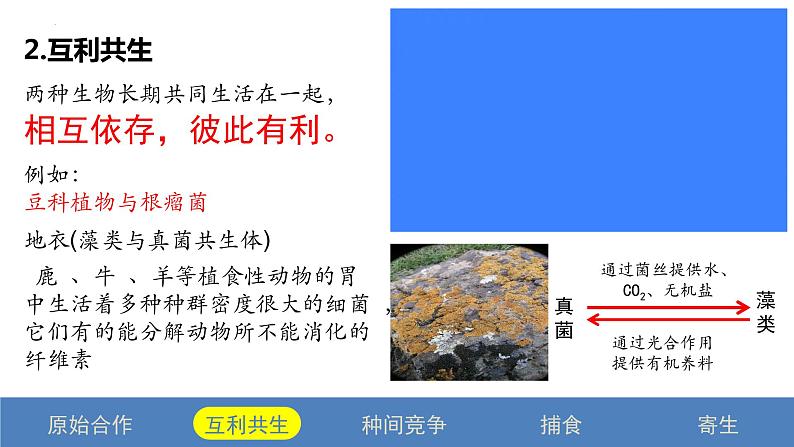 2.1 群落的结构（第二课时）-2023-2024学年高二生物同步精品课件（人教版选择性必修第二册）第7页