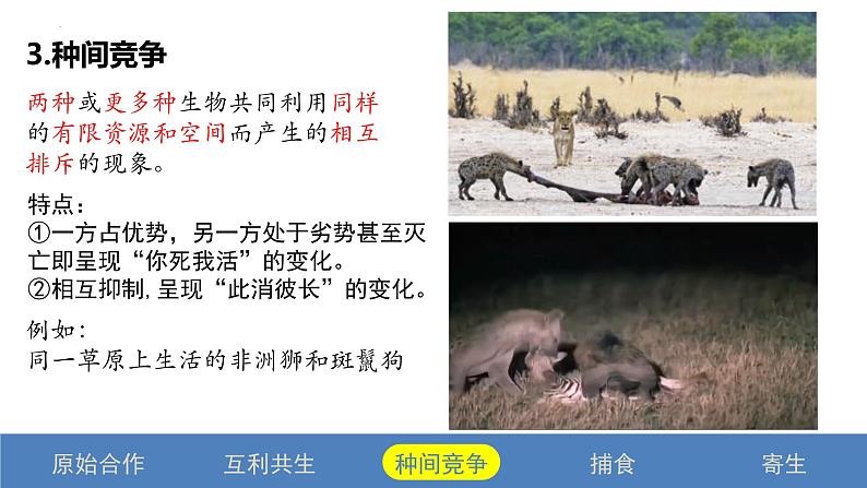 2.1 群落的结构（第二课时）-2023-2024学年高二生物同步精品课件（人教版选择性必修第二册）第8页