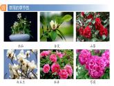 2.1 群落的结构（第三课时）-高二生物同步精品课件（人教版选择性必修第二册）