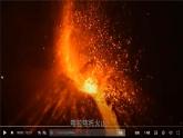 2.3+群落的演替-高二生物同步精品課件（人教版選擇性必修第二冊）