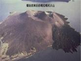 2.3+群落的演替-高二生物同步精品課件（人教版選擇性必修第二冊）
