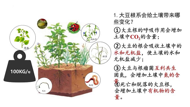 3.1 生态系统的结构（第一课时）-高二生物同步精品课件（人教版选择性必修第二册）03