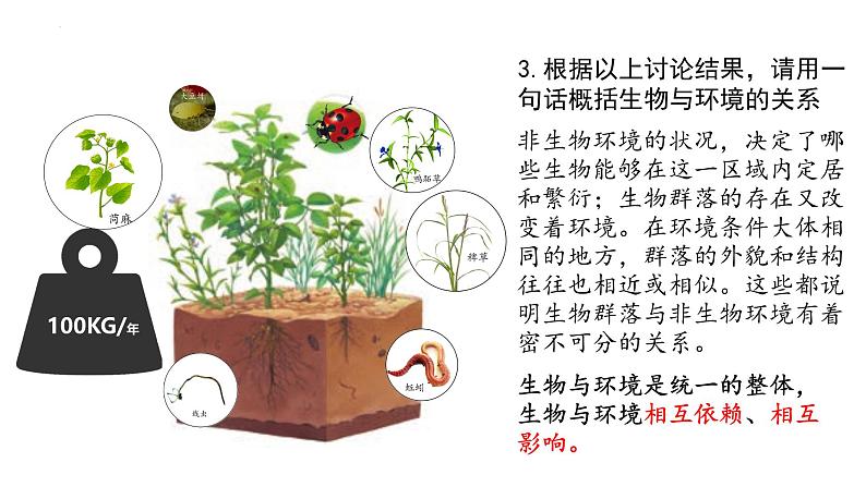 3.1 生态系统的结构（第一课时）-高二生物同步精品课件（人教版选择性必修第二册）05