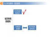 3.1 生态系统的结构（第二课时）-高二生物同步精品课件（人教版选择性必修第二册）
