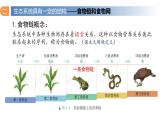 3.1 生态系统的结构（第二课时）-高二生物同步精品课件（人教版选择性必修第二册）