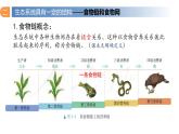 3.1 生态系统的结构（第二课时）-2023-2024学年高二生物同步精品课件（人教版选择性必修第二册）