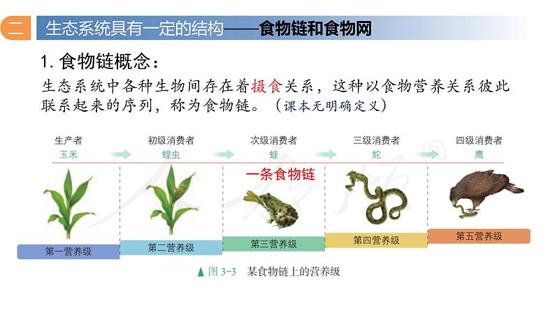 3.1 生态系统的结构（第二课时）-高二生物同步精品课件（人教版选择性必修第二册）03