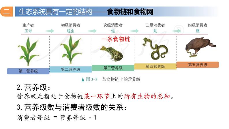 3.1 生态系统的结构（第二课时）-高二生物同步精品课件（人教版选择性必修第二册）04