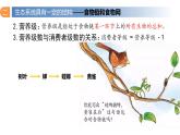 3.1 生态系统的结构（第二课时）-高二生物同步精品课件（人教版选择性必修第二册）
