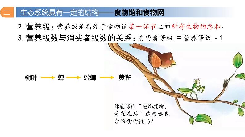 3.1 生态系统的结构（第二课时）-高二生物同步精品课件（人教版选择性必修第二册）05