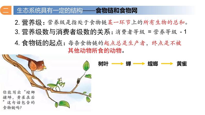 3.1 生态系统的结构（第二课时）-高二生物同步精品课件（人教版选择性必修第二册）06