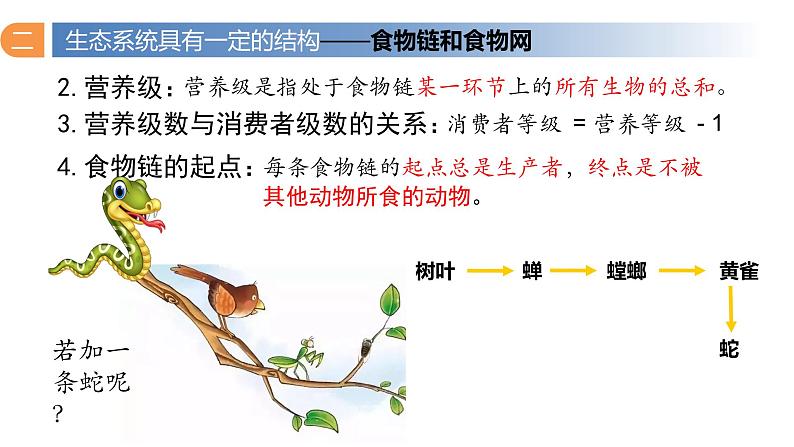 3.1 生态系统的结构（第二课时）-高二生物同步精品课件（人教版选择性必修第二册）07