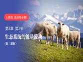 3.2 生态系统的能量流动（第二课时）-高二生物同步精品课件（人教版选择性必修第二册）