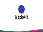 3.2 生态系统的能量流动（第二课时）-高二生物同步精品课件（人教版选择性必修第二册）