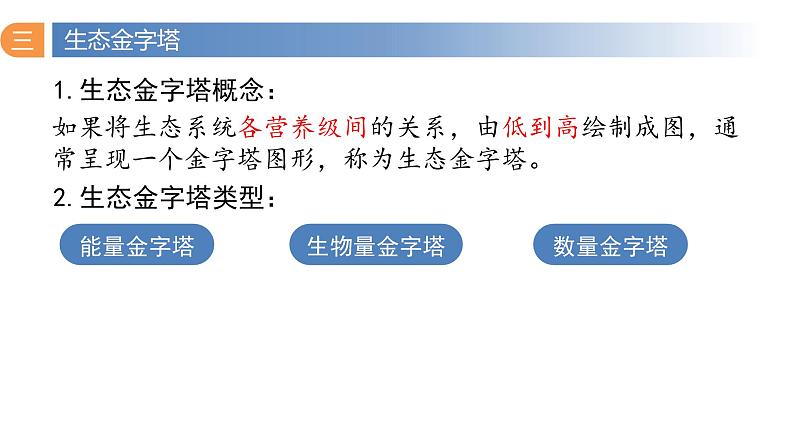 3.2 生态系统的能量流动（第二课时）-高二生物同步精品课件（人教版选择性必修第二册）03