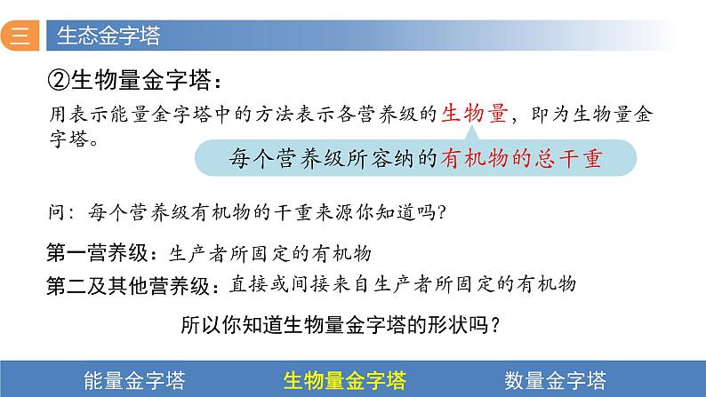 3.2 生态系统的能量流动（第二课时）-高二生物同步精品课件（人教版选择性必修第二册）08