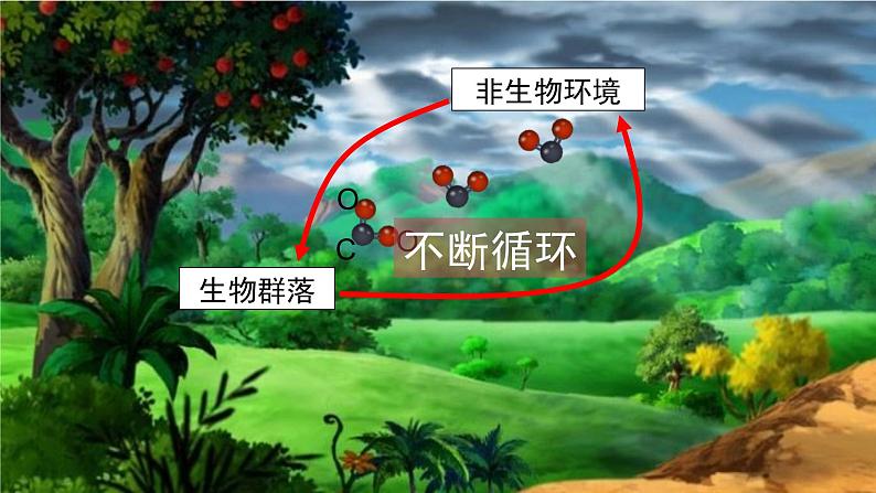 3.3 生态系统的物质循环（第一课时）-高二生物同步精品课件（人教版选择性必修第二册）05