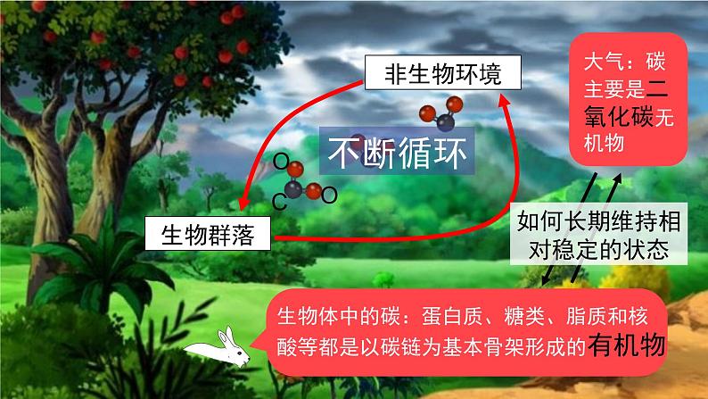 3.3 生态系统的物质循环（第一课时）-高二生物同步精品课件（人教版选择性必修第二册）08