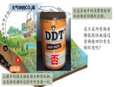 3.3 生态系统的物质循环（第二课时）-高二生物同步精品课件（人教版选择性必修第二册）