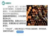 3.4+生态系统的信息传递-高二生物同步精品课件（人教版选择性必修第二册）