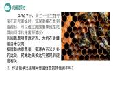 3.4+生态系统的信息传递-高二生物同步精品课件（人教版选择性必修第二册）